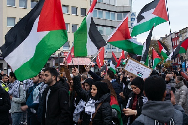 Pro-Palestine rally