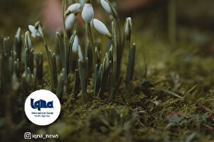 Daily Verses: Plants Sign of God’s Power