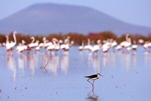 Akgöl Lake in Konya