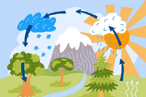 How water cycle works