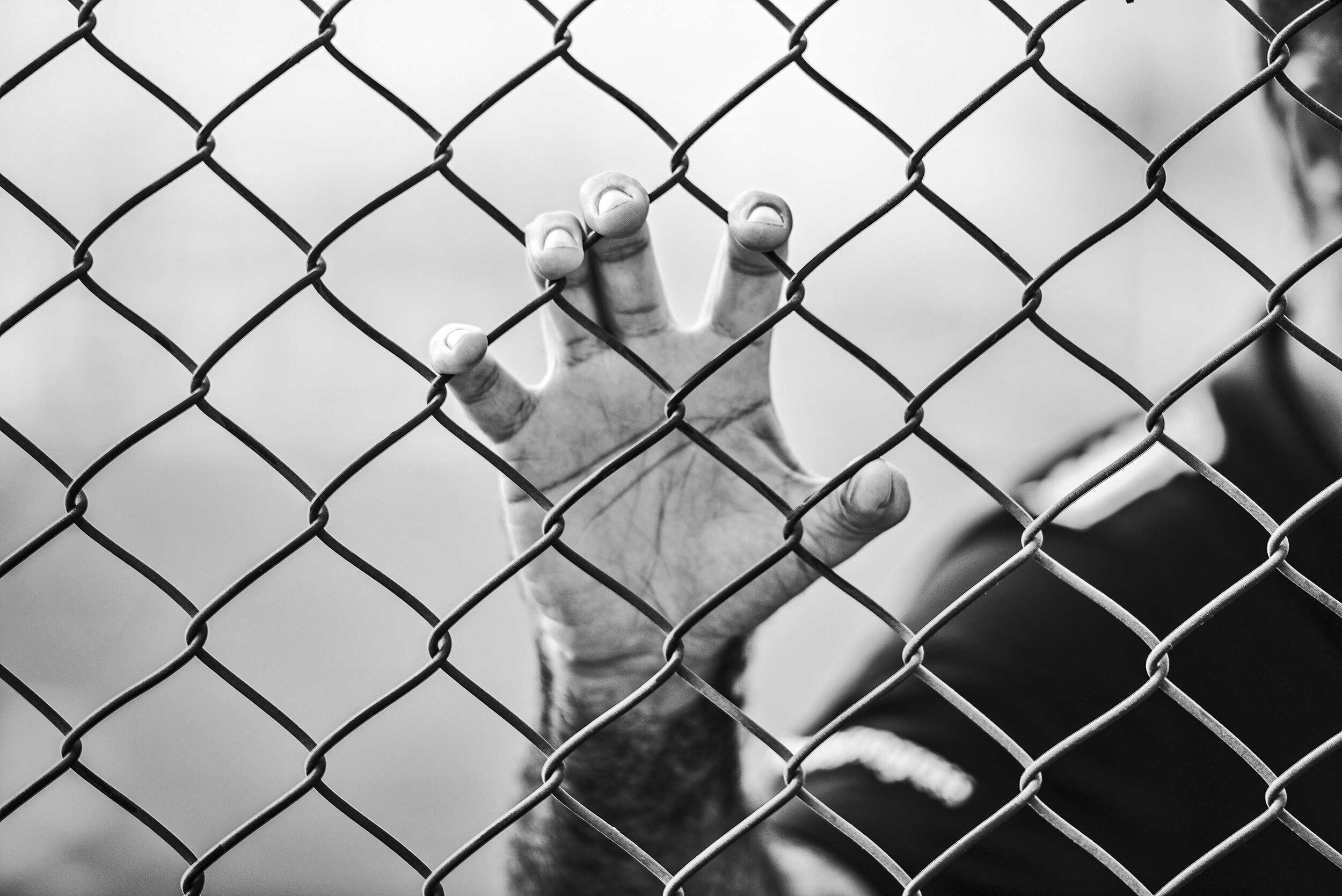 Manama Offers Prisoners Extra Rights after Mass Hunger Strike