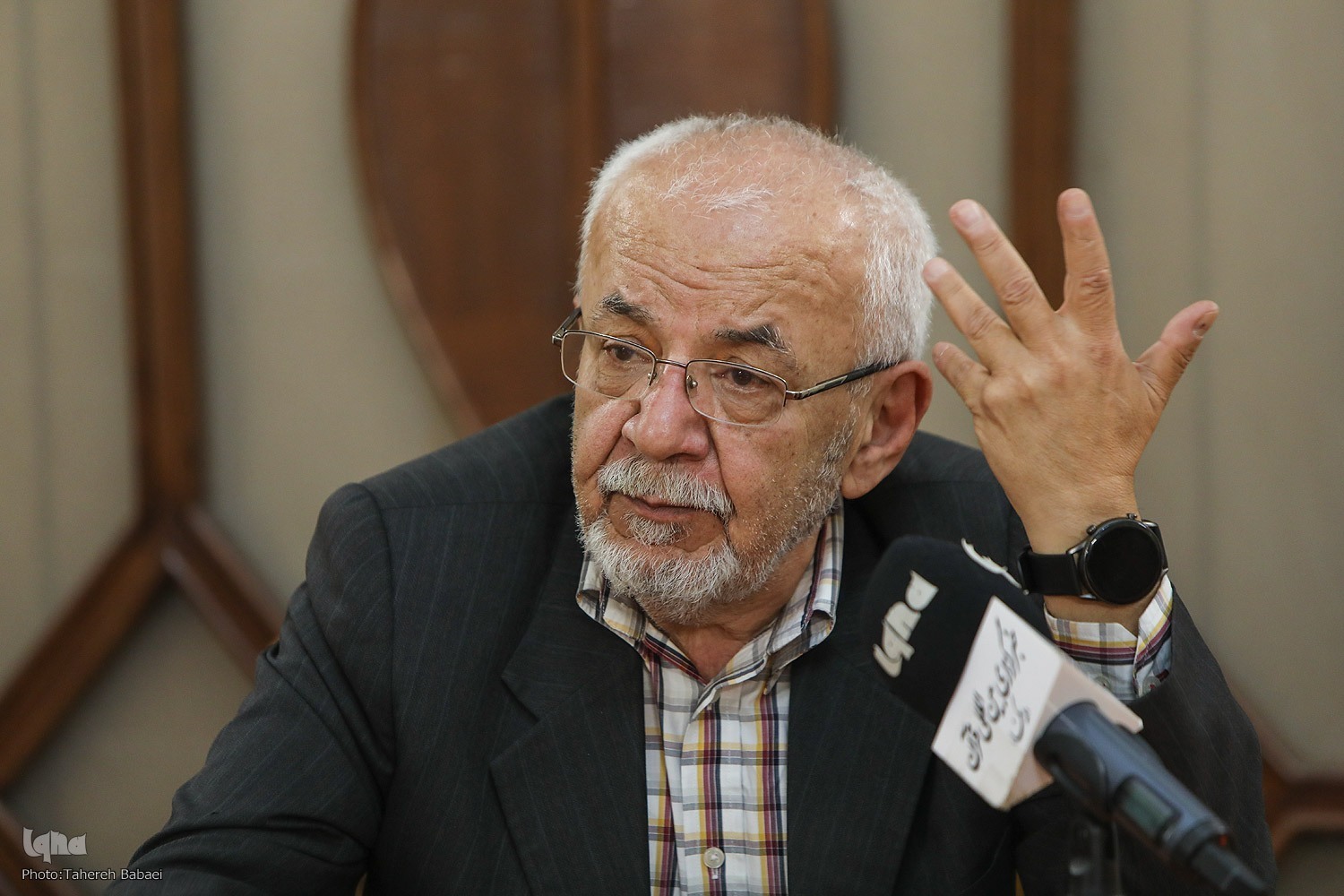 Iranian professor Hossein Masoumi Hamdeni