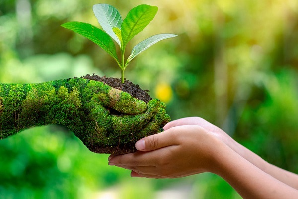 Islam stresses protection of the environment