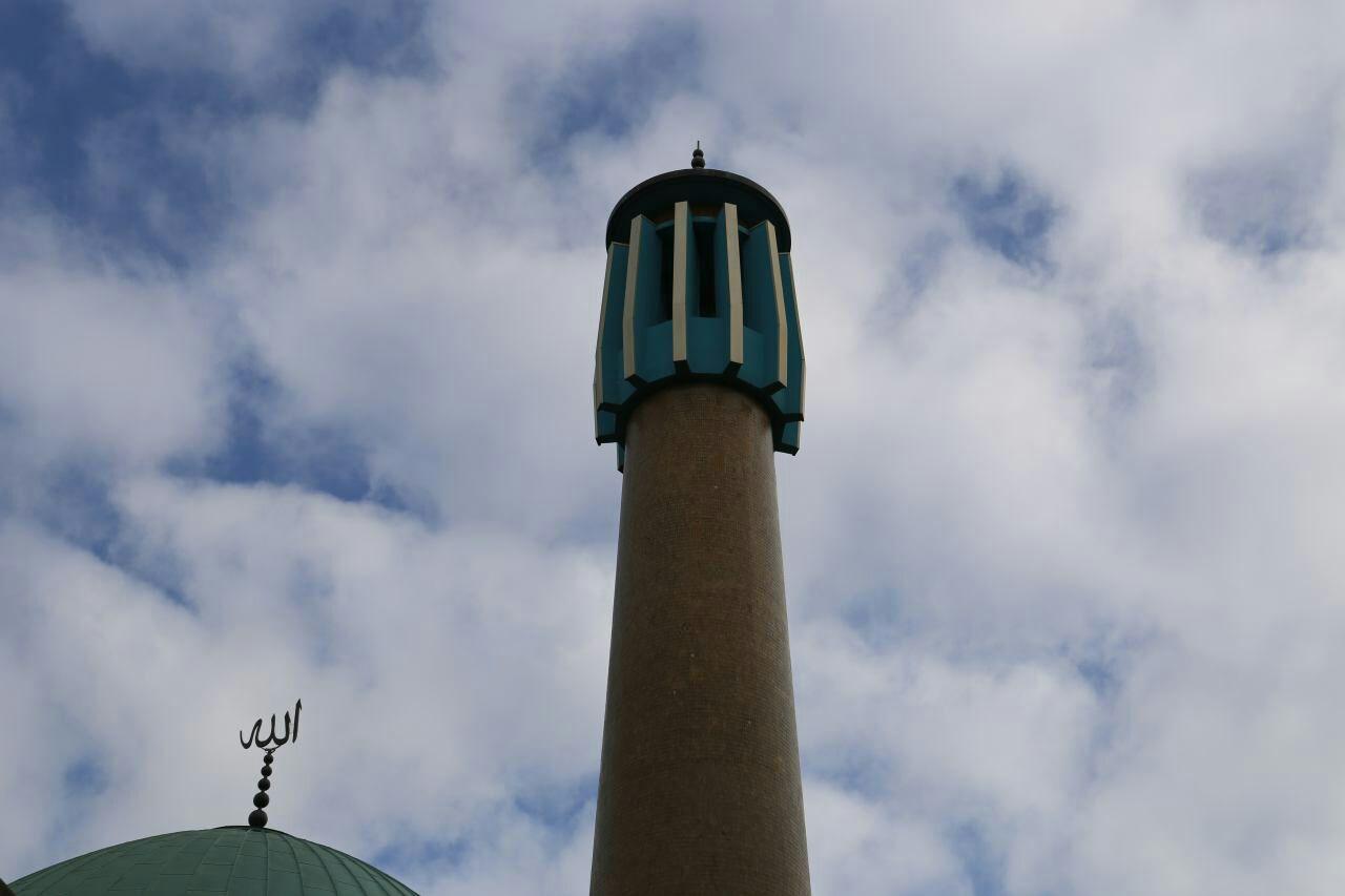 غیر مسلمانان در مسجد امام علی(ع) هامبورگ + عکس