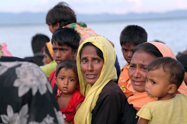 سازمان همکاری اسلامی وجود کمپین سیستماتیک پاکسازی روهینگیا را تأیید کرد /آماده