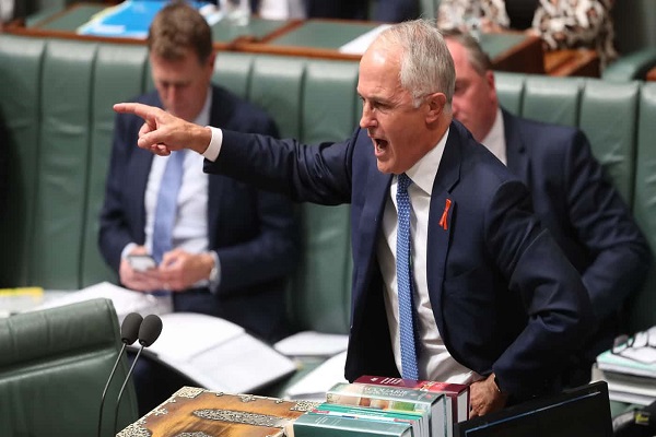 حمایت نخست وزیر استرالیا از سناتور اسلام&zwnj;ستیز /آماده