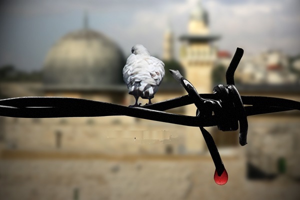 برنامه بین‌المللی حمایت از فلسطین در غنا