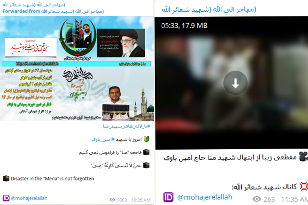 &laquo;با لاله&zwnj;های سپید منا&raquo; در کانال تلگرامی شهید جلالی