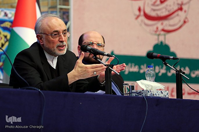 گرایشات &laquo;ناسیونالیستی&raquo; مانع پیروزی اعراب بر اسرائیل شد