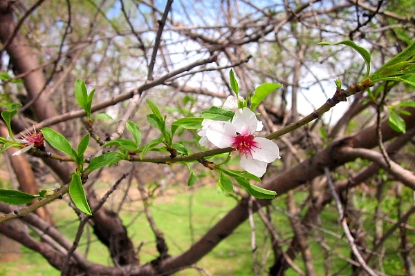 کارنامه&zwnj;ای با 40 سال فعالیت قرآنی و تأسیس دارالقرآن اسراء