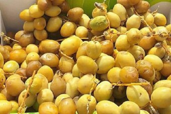 تجربه سفر به مکه و مدینه در ماه رمضان / گزارش/ انگلیسی تجربه سفر به مکه و مدینه در ماه رمضان / گزارش/ انگلیسی