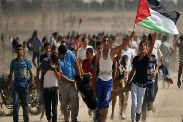 قاهره؛ میزبان کنفرانس بین&zwnj;الملل حمایت از غزه