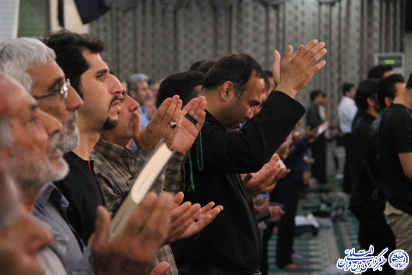 شب قدر، شبی نجات بخش و کمال آفرین است + شب&zwnj; زنده&zwnj;داران بوشهری از نگاه دوربین