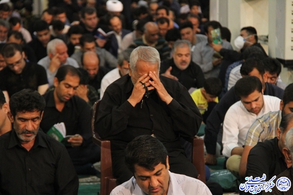 شب قدر، شبی نجات بخش و کمال آفرین است + شب&zwnj; زنده&zwnj;داران بوشهری از نگاه دوربین