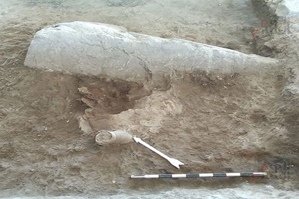 انتشار اولین تصاویر از کشف مجسمه ابوالهول انتشار اولین تصاویر از کشف مجسمه ابوالهول