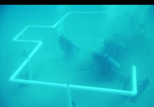 از روزی جهانی برای مسجد تا ضرورت پاسداشت این پایگاه از روزی جهانی برای مسجد تا ضرورت پاسداشت این پایگاه