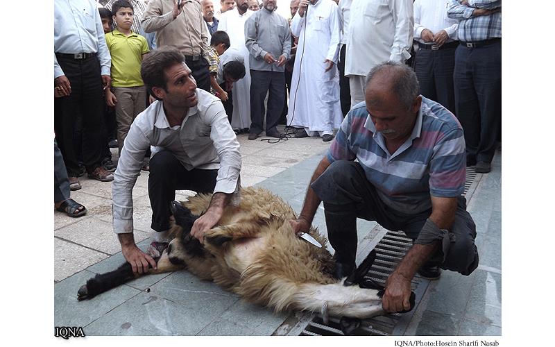 عرفه روز مناجات در مقابل ذات ربوبی/ عبودیت الهی؛ گواراترین ارزش برای انسان عرفه روز مناجات در مقابل ذات ربوبی/ عبودیت الهی؛ گواراترین ارزش برای انسان