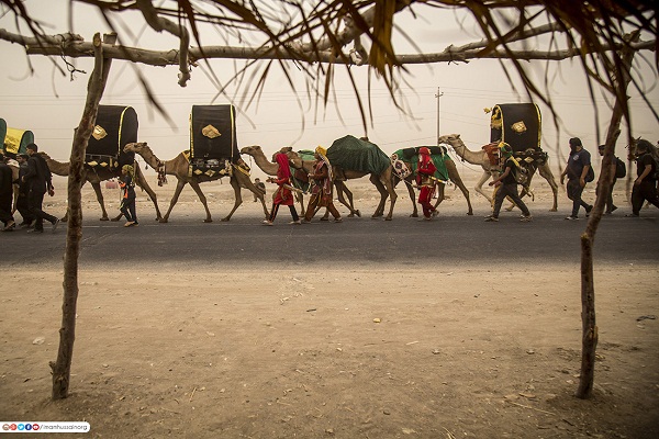 حرکت کاروانهای عزاداری از بصره به سمت کربلا +عکس حرکت کاروانهای عزاداری از بصره به سمت کربلا +عکس