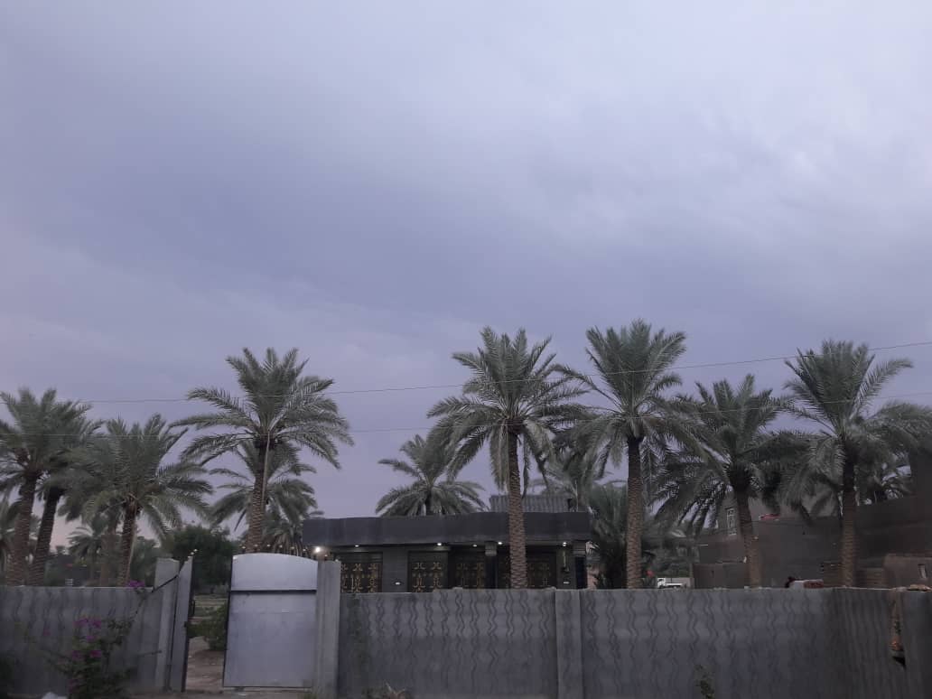 حشد الشعبی؛ از مبارزه با داعش تا خدمت به زوار اربعین