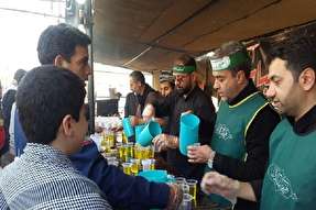 خدمت‌رسانی موکب امام رضا(ع) در کربلای معلی به زائران