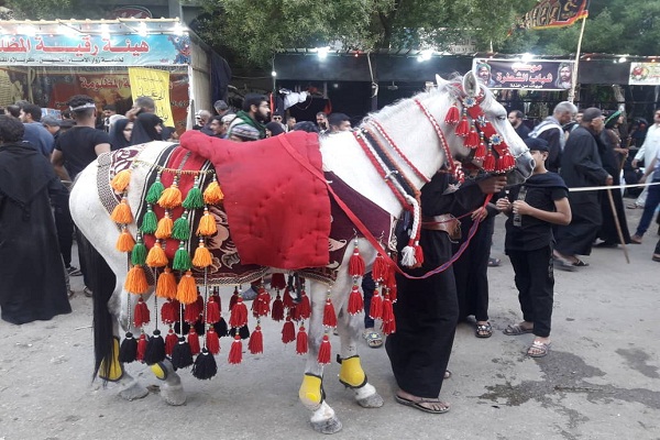 روایت ایکنا از کاروان اسرای شام در خیابان های کربلا