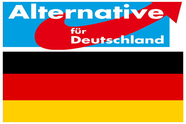 کارنامه حزب ضد اسلامی آلمان در یک نگاه