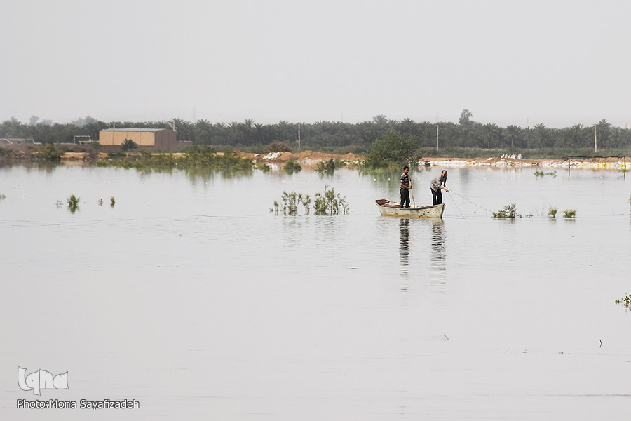 تحسین کاربران مجازی از اقدام بی&zwnj;نظیر سرهنگ ارتش + فیلم