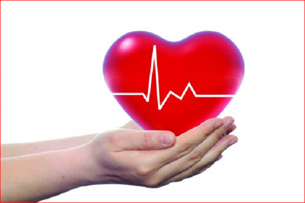 استقبال جوامع اسلامی و مسیحی آلمان از طرح اهدای عضو