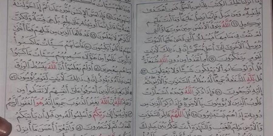 جوان مصری دومین قرآن را هم دستنویسی کرد + عکس جوان مصری دومین قرآن را هم دستنویسی کرد + عکس