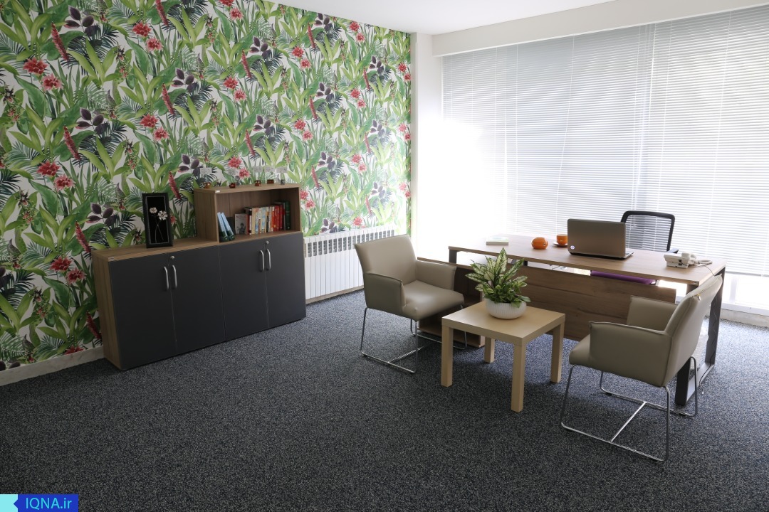 سالمندی؛ برگی جدید از زندگی