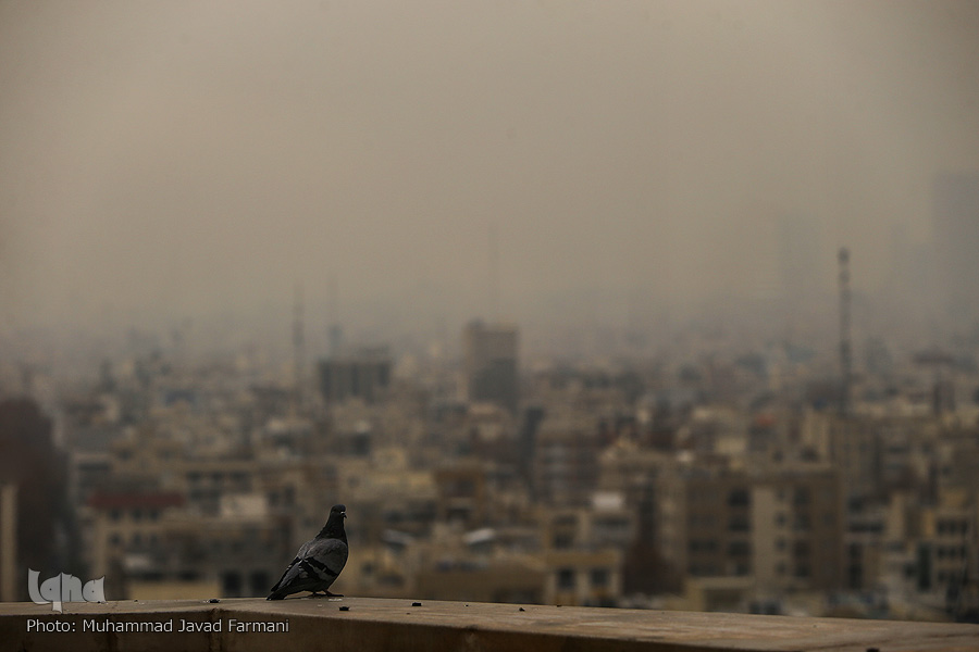 آلودگی هوای تهران دانشگاه&zwnj;ها را نیز تعطیل کرد