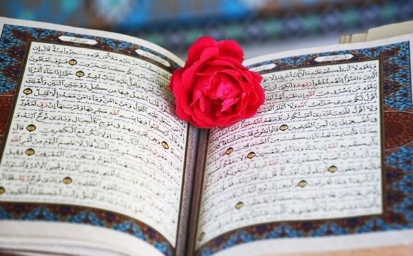 ارسالی////پویش # با_قرآن_در_خانه_بمانیم در کانال قاری بینالمللی مشهدی