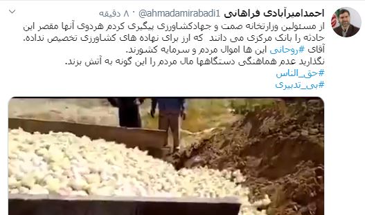 جوجههای اعتقاد در مسلخ جوجههای اعتقاد در مسلخ