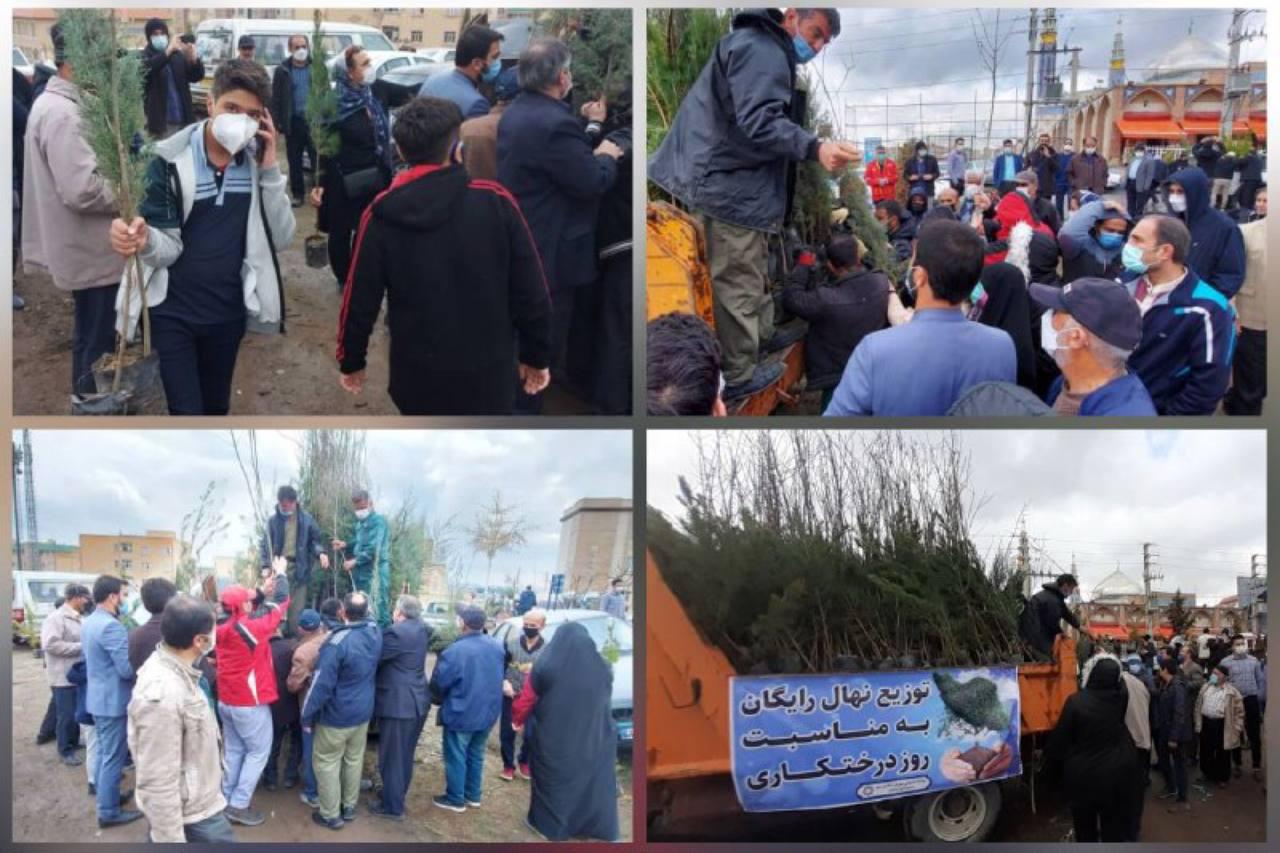 پردیس پردیس