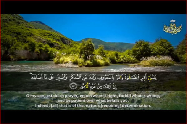 فیلم | تلاوتی از عبدالباسط با تصاویری از طبیعت