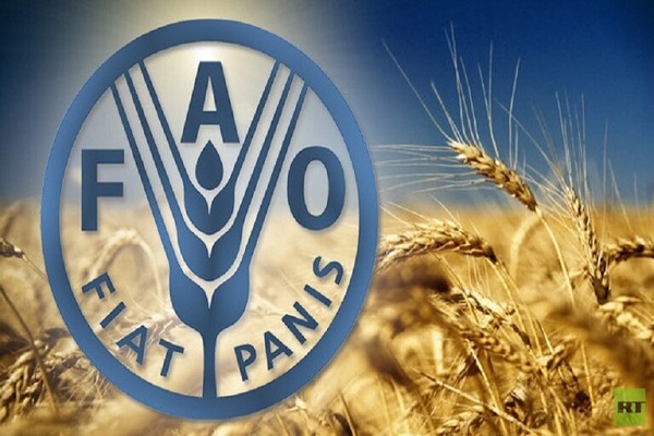 ایندیپندنت: سال 2020، سخت&zwnj;ترین سال برای گرسنگان یمنی است