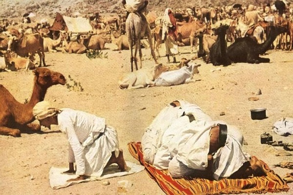 پایداری و استقامت مردم آفریقا در ادای حج پایداری و استقامت مردم آفریقا در ادای حج