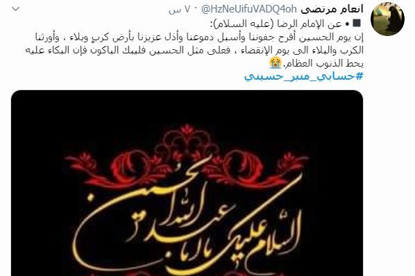 نبض نهضت حسینی در فضای مجازی؛ به یاد شهدا