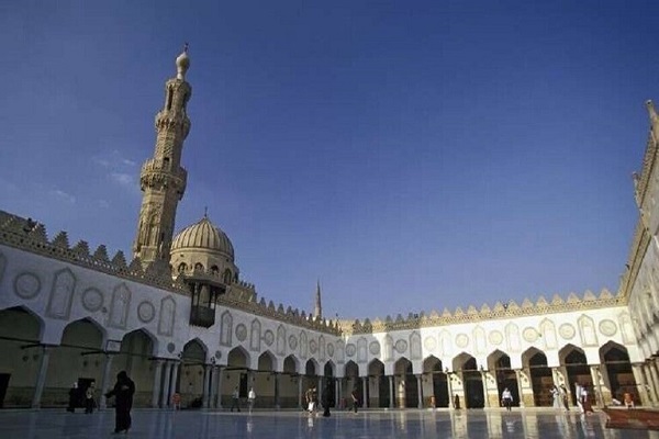 واکنش الازهر به اخراج اسلام ستیزان دانمارکی از بلژیک