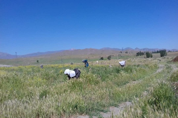 ارسال نشود/////تسهیل&zwnj;گری در اعطای خدمات و اعتبارات؛ ویژگی متفاوت گروه جهادی شهید اوهانی مرند