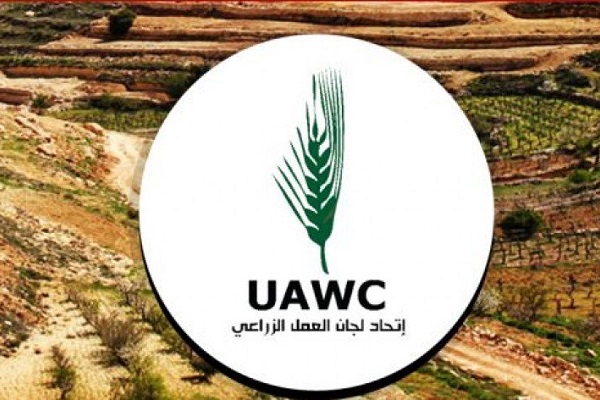 مشکلات 20 هزار خانواده فلسطینی با توقف کمک&zwnj;های هلند