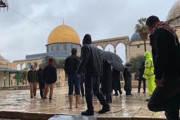 ورود غیرقانونی اعضای کابینه صهیونیستی به مصلای القبلی مسجد الاقصی/آماده ورود غیرقانونی اعضای کابینه صهیونیستی به مصلای القبلی مسجد الاقصی/آماده