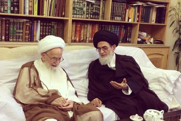 پیام تسلیت آیت&zwnj;الله سیدمحمدعلى شیرازى در پی ارتحال آیت&zwnj;الله صافی&zwnj;گلپایگانی