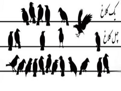 چطور یک کلاغ چهل کلاغ می&zwnj;شود؟