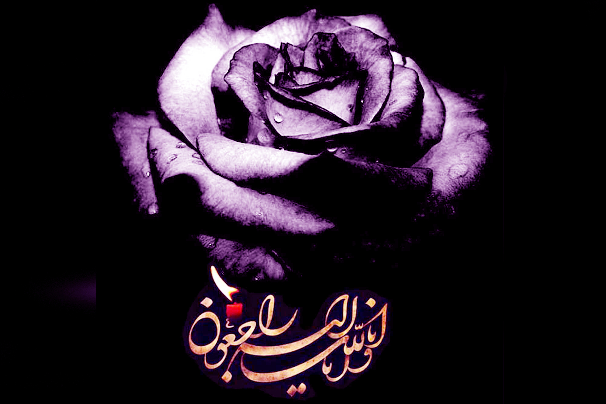 در اندوه فقدان &laquo;آسیه ابراهیمی&raquo; حافظ کل قرآن و معلم جوان بوشهری