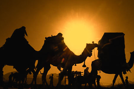 در حال تکمیل/ صوت | کاروان عاشقان