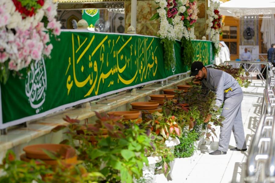 تصاویری از گل آرایی حرم علوی به مناسبت فرارسیدن ولادت پیامبر(ص)