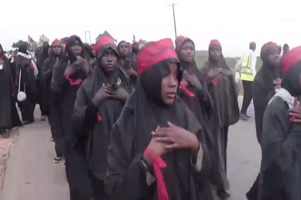 برگزاری راهپیمایی اربعین با حضور هزاران نفر از شیعیان در نیجریه برگزاری راهپیمایی اربعین با حضور هزاران نفر از شیعیان در نیجریه