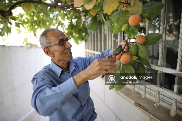 عبدالفتاح اسکافی، شهروند فلسطینی
