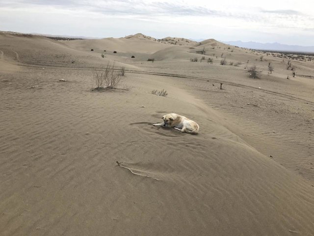 ابتدای حل شدن مسئله آب؛ درست شدن وزارت منابع طبیعی و سازمان جهاد کشاورزی است ابتدای حل شدن مسئله آب؛ درست شدن وزارت منابع طبیعی و سازمان جهاد کشاورزی است